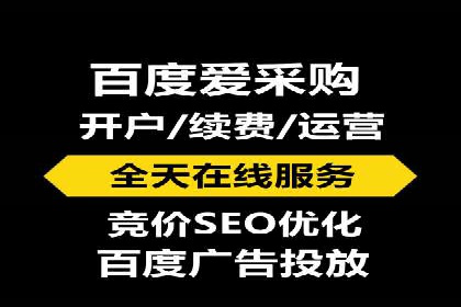 百度推广成功案例：关键词排名快速提升